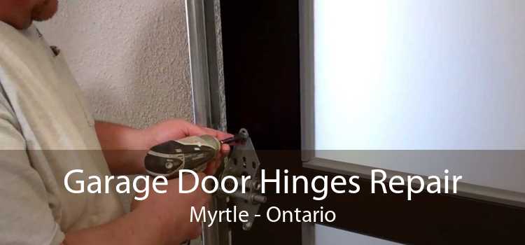 Garage Door Hinges Repair Myrtle - Ontario