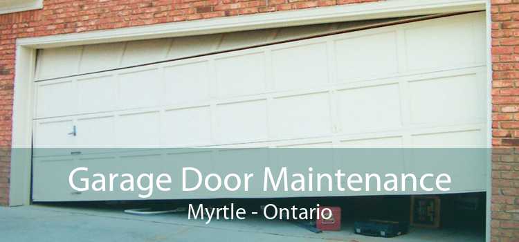 Garage Door Maintenance Myrtle - Ontario