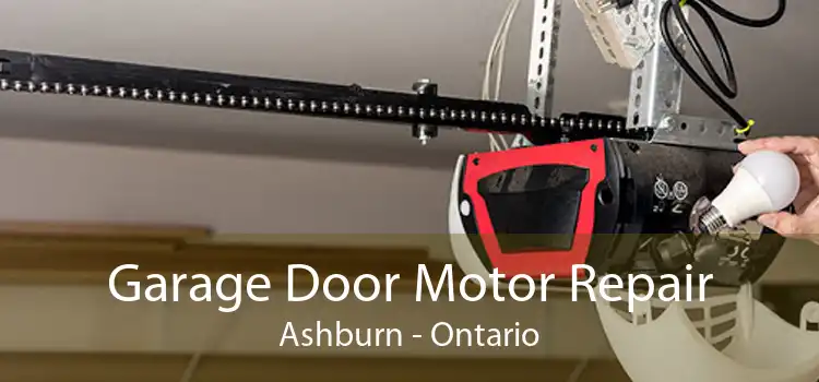 Garage Door Motor Repair Ashburn - Ontario