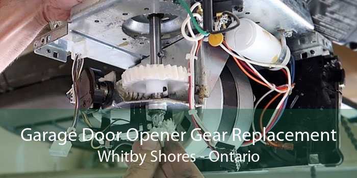 Garage Door Opener Gear Replacement Whitby Shores - Ontario