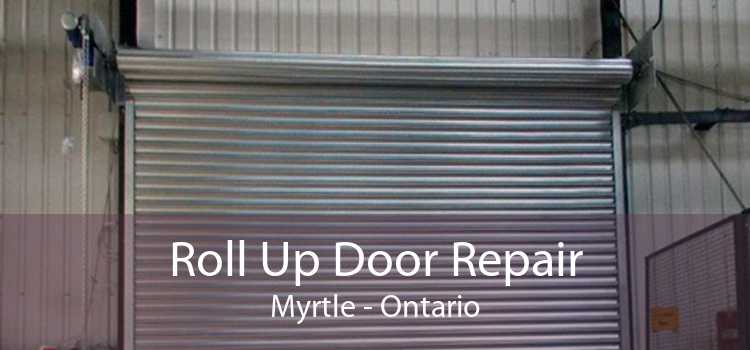 Roll Up Door Repair Myrtle - Ontario