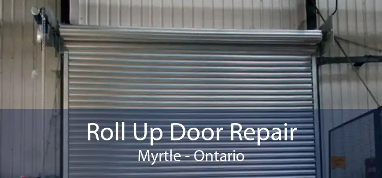 Roll Up Door Repair Myrtle - Ontario